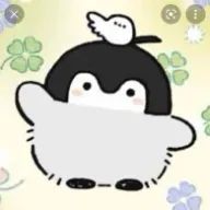 こうちゃんさんのアイコン画像