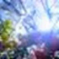 カピリスさんのアイコン画像