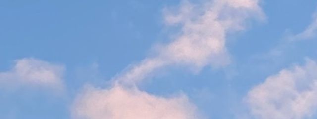 のむのむさんの壁紙画像