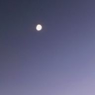 のむのむさんのアイコン画像