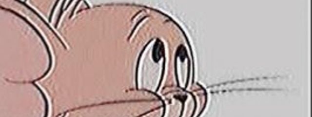 しゃちさんの壁紙画像
