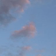 雨冴偽さんのアイコン画像