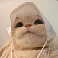 なるなさんのアイコン画像