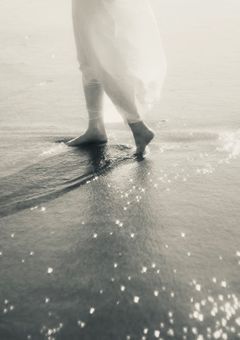 ダンボールハウス