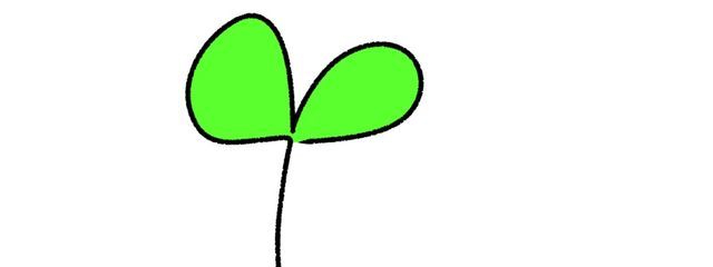 🌸はっぱ🌱さんの壁紙画像