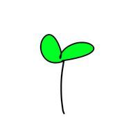 🌸はっぱ🌱さんのアイコン画像