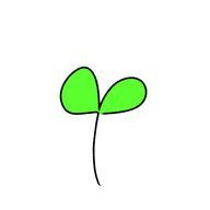 🌸はっぱ🌱さんのアイコン画像