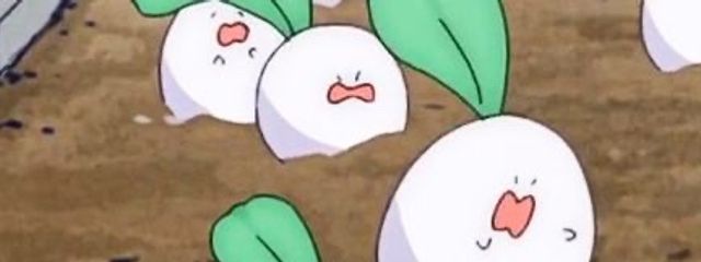@お茶っぱ🍵🌱‬‪さんの壁紙画像