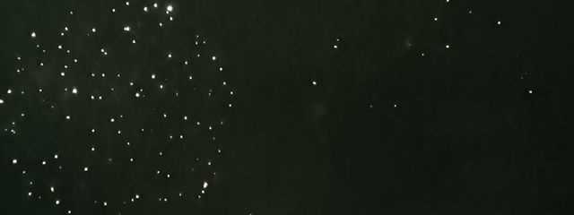 匿名Aさんの壁紙画像