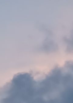 急に現れた殺し屋女