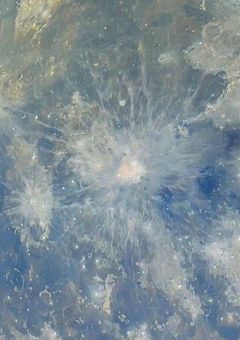 なにわ男子の紅一点が可愛すぎるけど