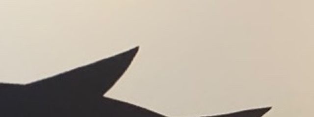 亞華さんの壁紙画像