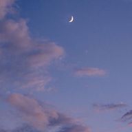 雲羽さんのアイコン画像