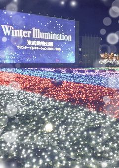 仲良くしてくれる推し活仲間が欲しい!!!!!!