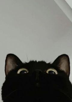 ネタバレ含みたくても含めないただの本編のメモ