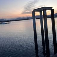 桜良 椛     #受験生さんのアイコン画像