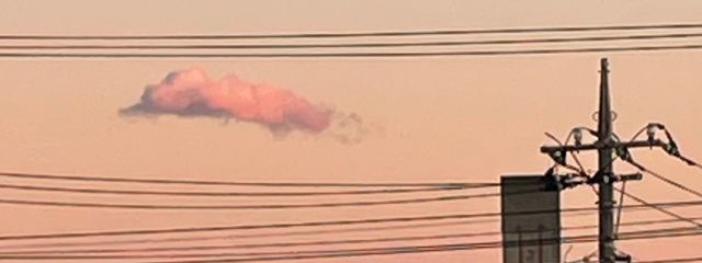 ｓｅｒｉｎａさんの壁紙画像