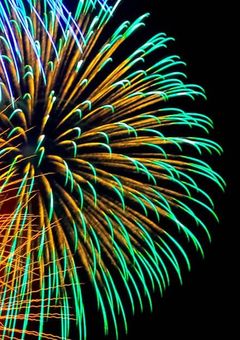 夏の花が咲く日に