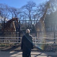 mさんのアイコン画像