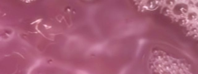 ﾐﾕｳさんの壁紙画像