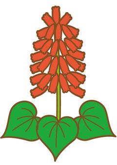 サルビア - 家族愛 -