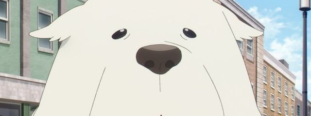 ふ と ん さ んさんの壁紙画像