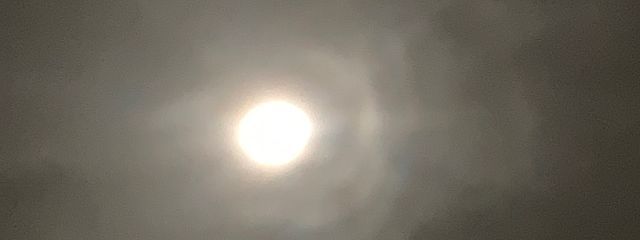 Flowerさんの壁紙画像