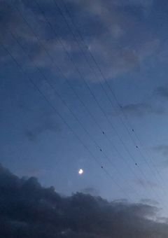 私   の  恋  は   叶  わ  な   い  の  ？