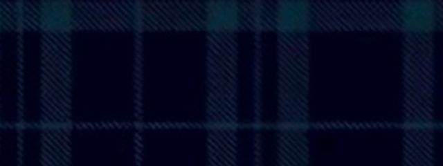 ㅤ⠀​​ㅤㅤ⠀ MIZUKI    . ⸝꙳さんの壁紙画像