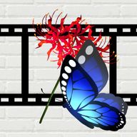 るなさんのアイコン画像