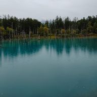 159さんのアイコン画像