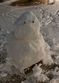 9人の医者と反抗患者