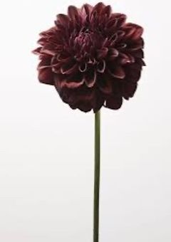 あいことば 〜別館〜