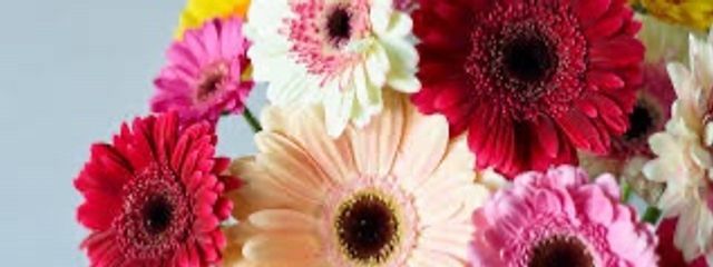 Re.nanaさんの壁紙画像