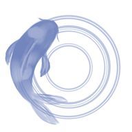 青鯉さんのアイコン画像