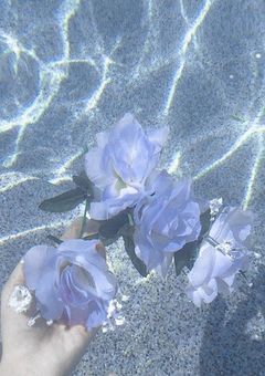 ねんのんお悩み相談室🧸🎼