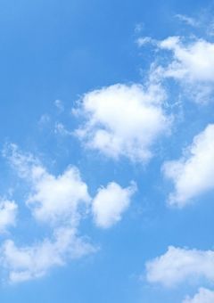 私と恋はここにて終了致します