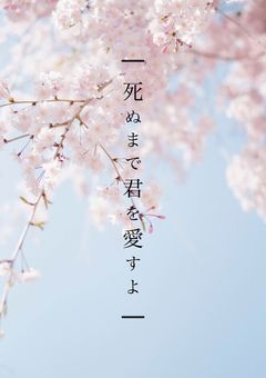 死ぬまで君を愛すよ