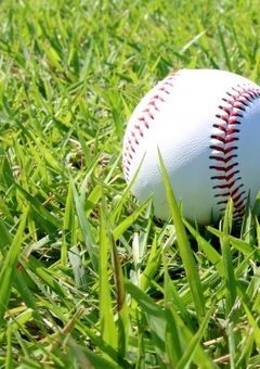 燕の姫は狙われてます。【1】