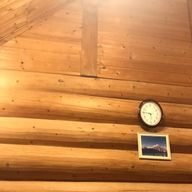 青を春したい。さんのアイコン画像