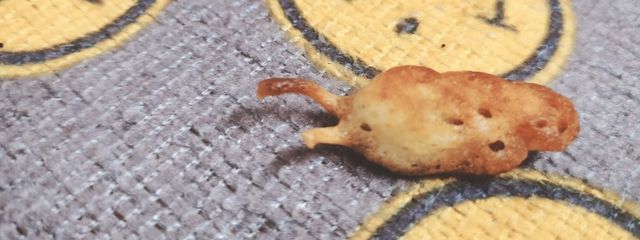 ひやもやさんの壁紙画像