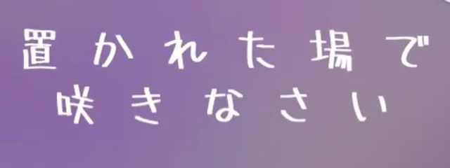 ヒメノさんの壁紙画像