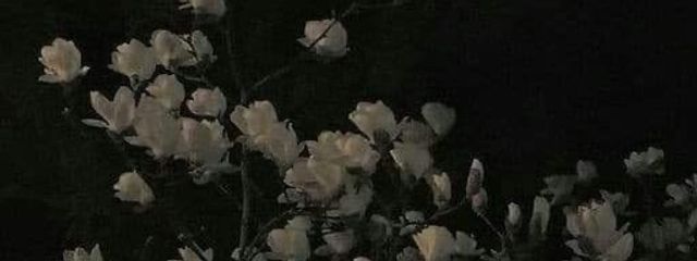 ｕｒｉｎａさんの壁紙画像