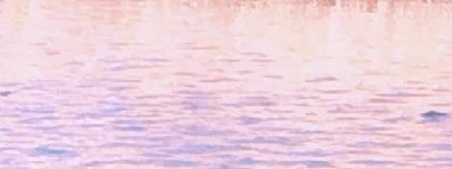 ナギさんの壁紙画像