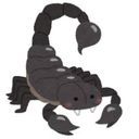 ✧︎サロメ✧︎