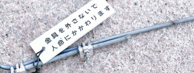 田中さんの壁紙画像