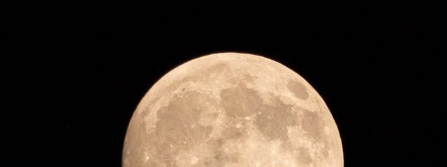 ^ᴗ ᴗ^⭐️さんの壁紙画像