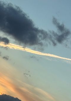 恋する警護24時