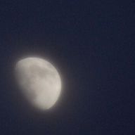 　朧 めぐ 🌙🫧‪さんのアイコン画像