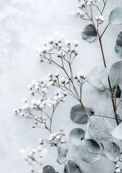 【みんなおいで！】オープンチャット開設！（ゆおとの合同企画）